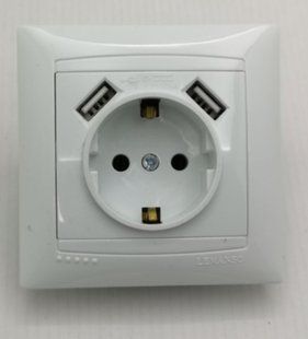 Розетка 1 с заземлением + два USB гнезда LEMANSO Сакура белая LMR1039 00000004817 фото