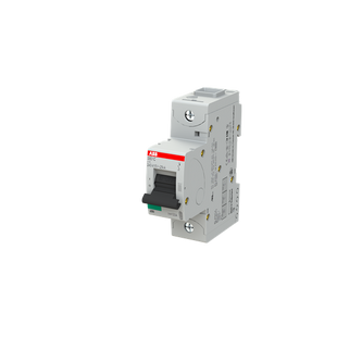 S801C C100 Автоматический выключатель 25kA, ABB (арт. 2CCS881001R0824) 00000009174 фото
