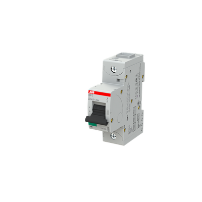 S801C C100 Автоматичний вимикач 25kA, ABB (арт. 2CCS881001R0824) 00000009174 фото